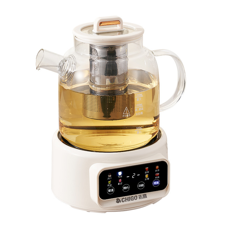 600W Multi-function Health Ket - đánh giá và giá Electric Kettle Temperature Control
